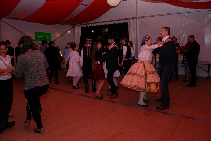 DSC_2391 (Medium).JPG